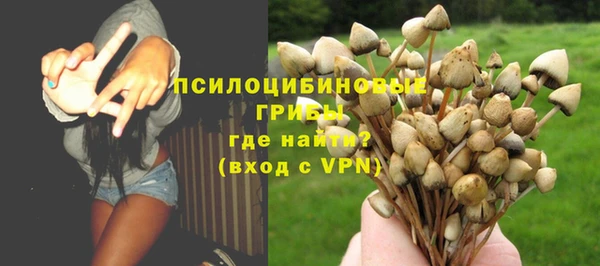 бошки Корсаков