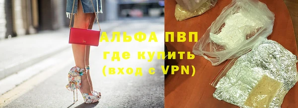 шишки Белоозёрский