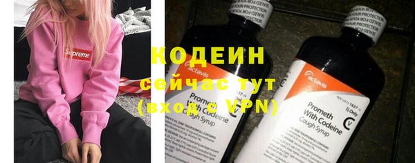 шишки Белоозёрский
