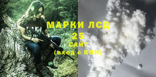 шишки Белоозёрский