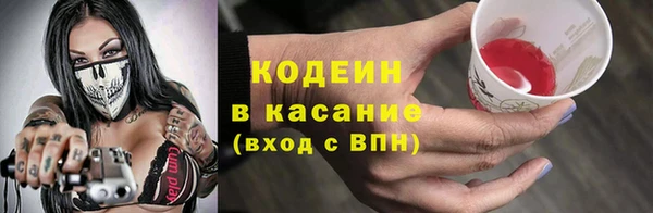 шишки Белоозёрский