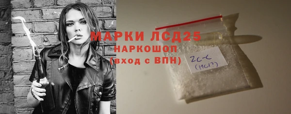 шишки Белоозёрский