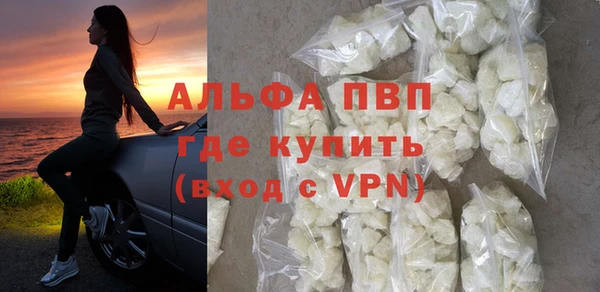 шишки Белоозёрский